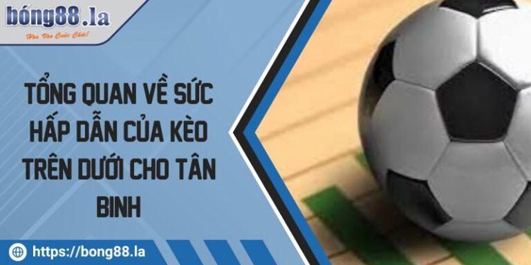 Tổng Quan Về Sức Hấp Dẫn Của Kèo Trên Dưới Cho Tân Binh 5 Kèo trên dưới