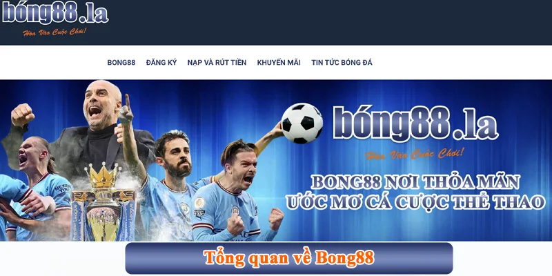 Bong88 harworth ⭐️ Cập Nhật Link Vào Bong88 LA, Viva88 Chuẩn 【10/2025】 36 Tổng quan về Bong88