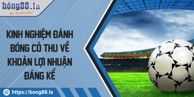 Kinh nghiệm đánh bóng cỏ thu về khoản lợi nhuận đáng kể 7 kinh nghiem danh bong co